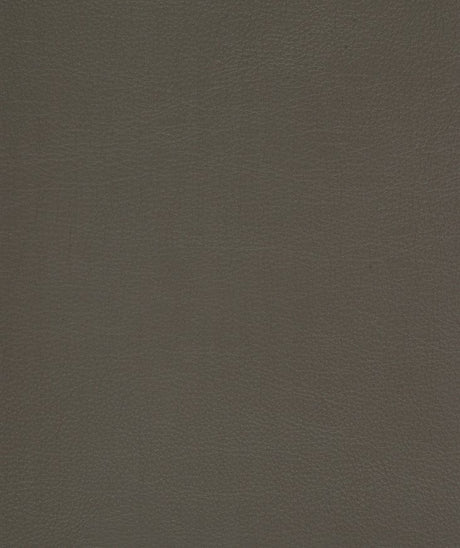Mayer Caressa Granite Ca-026 Upholstery Fabric