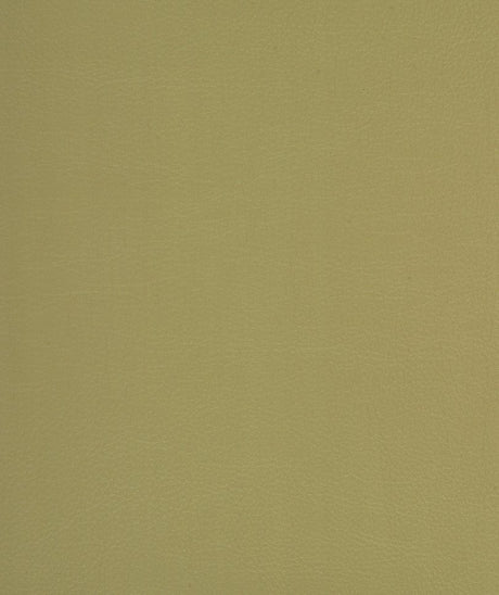 Mayer Caressa Buff Ca-027 Upholstery Fabric