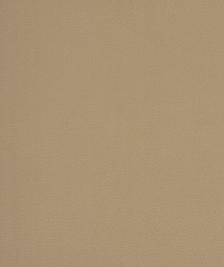 Mayer Caressa Papyrus Ca-037 Upholstery Fabric