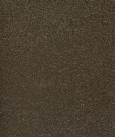 Mayer Caressa Java Ca-040 Upholstery Fabric