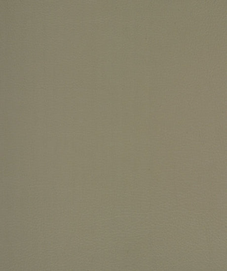 Mayer Caressa Stone Ca-046 Upholstery Fabric