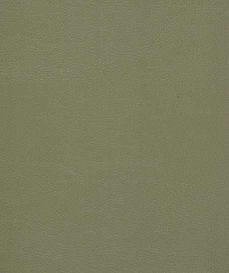 Mayer Caressa Laurel Ca-053 Upholstery Fabric
