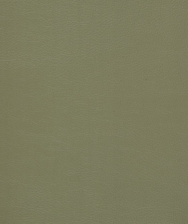 Mayer Caressa Laurel Ca-053 Upholstery Fabric