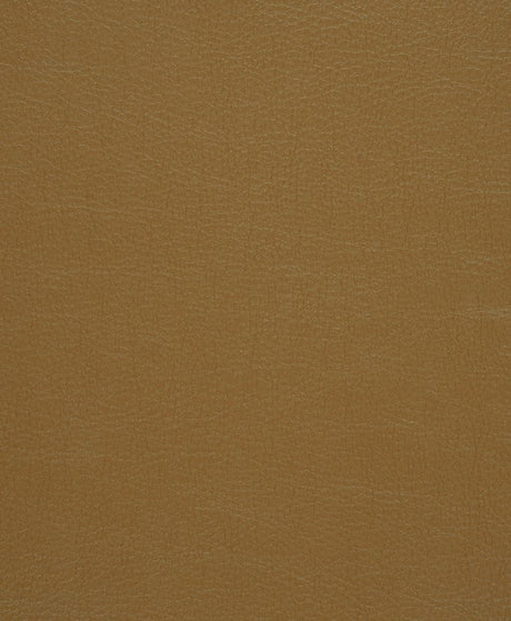 Mayer Caressa Caramel Ca-060 Upholstery Fabric