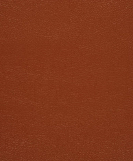 Mayer Caressa Rawhide Ca-070 Upholstery Fabric