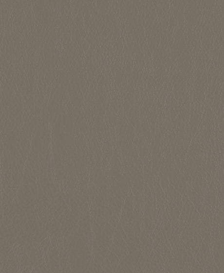 Mayer Caressa Aluminum  Ca-076 Upholstery Fabric