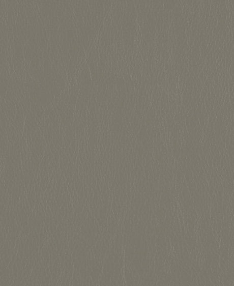 Mayer Caressa Quarry Ca-086 Upholstery Fabric