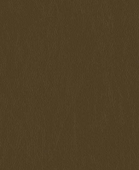 Mayer Caressa Mocha Ca-090 Upholstery Fabric