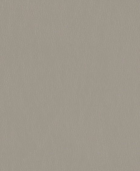Mayer Caressa Dove Ca-096 Upholstery Fabric