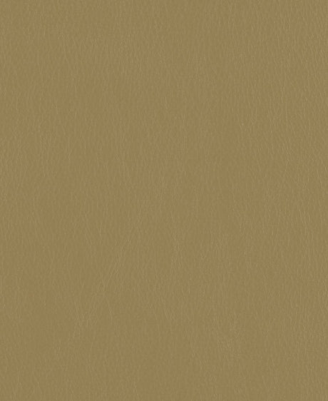 Mayer Caressa Flax Ca-097 Upholstery Fabric