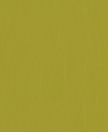 Mayer Caressa Lime Ca-103 Upholstery Fabric
