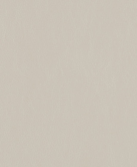 Mayer Caressa Cloud Ca-106 Upholstery Fabric