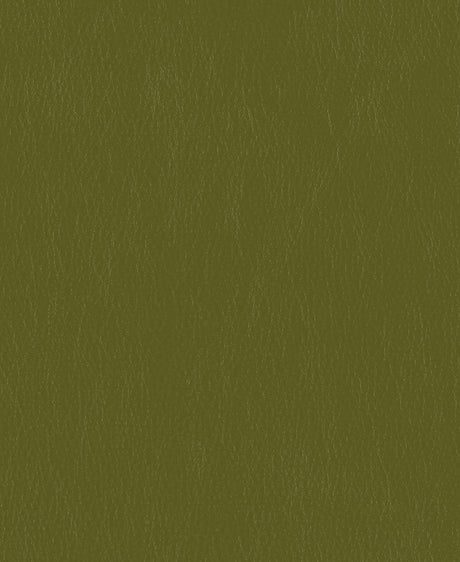 Mayer Caressa Jade Ca-113 Upholstery Fabric