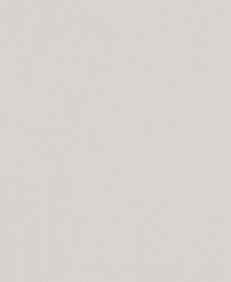 Mayer Caressa Glacier Ca-116 Upholstery Fabric