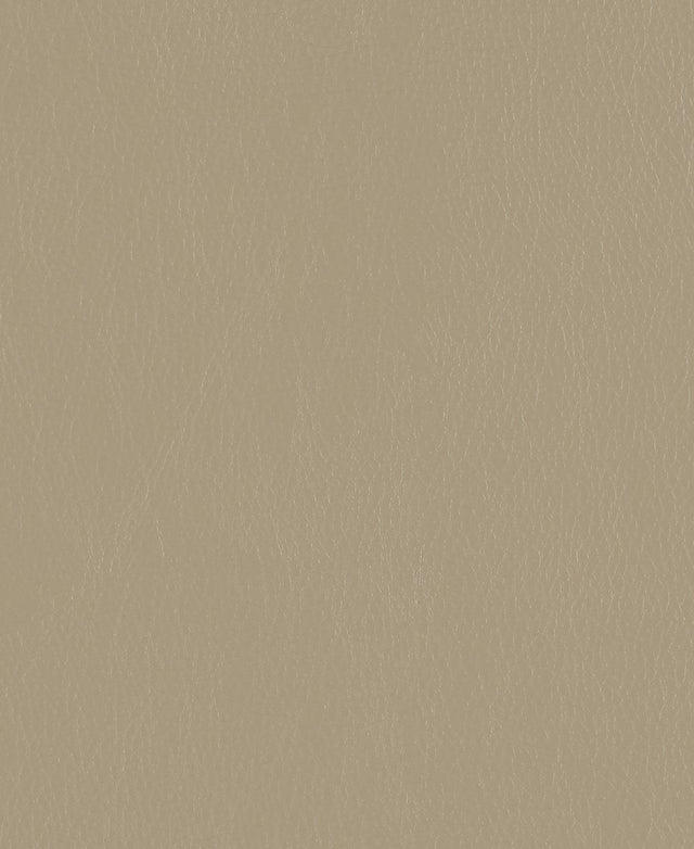 Mayer Caressa Sandstone Ca-117 Upholstery Fabric