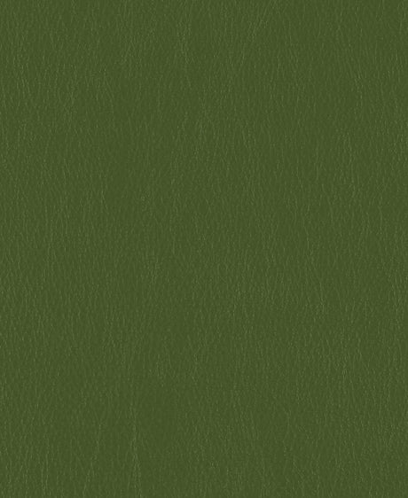 Mayer Caressa Parsley CA-123 Upholstery Fabric