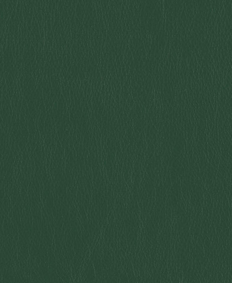 Mayer Caressa Ivy Ca-133 Upholstery Fabric