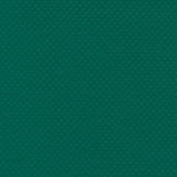 AbbeyShea Mercury 205 Medium Green 61-Inch Tarp and Awning Fabric