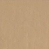 AbbeyShea Guardian 102 Champagne Automotive Seating and Upholstery Fabric