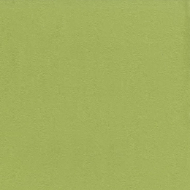 AbbeyShea Guardian 21 Meadow Automotive Seating and Upholstery Fabric