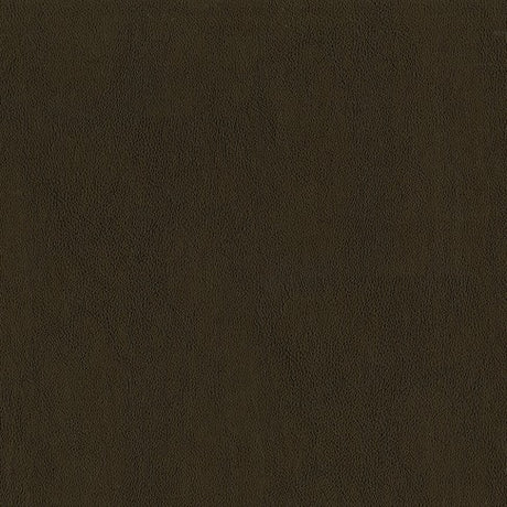 AbbeyShea Guardian 88 Tobacco Automotive Seating and Upholstery Fabric