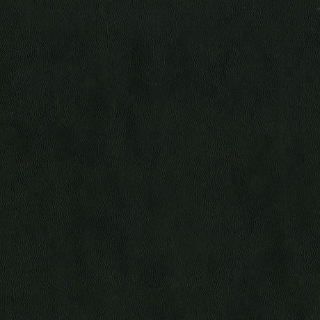 AbbeyShea Guardian 909 Raven Automotive Seating and Upholstery Fabric