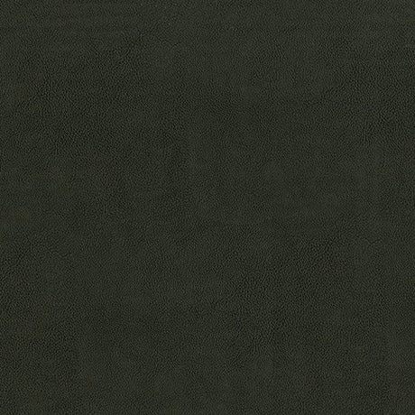 AbbeyShea Guardian 98 Charcoal Automotive Seating and Upholstery Fabric