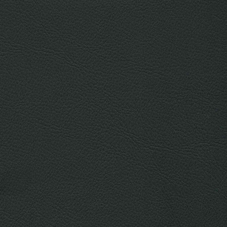 Enduratex Mercedes Anthracite 7315 Upholstery Fabric