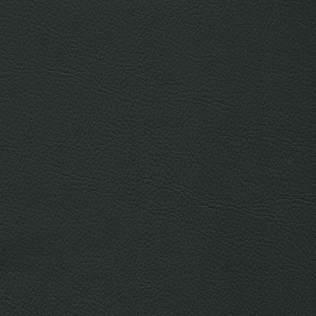 Enduratex Mercedes Anthracite 7315 Upholstery Fabric