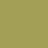 Sample of Outdura Solids Pesto 5432 Modern Textures Collection Upholstery Fabric