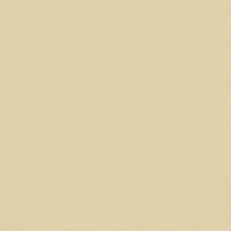 Sample of Spirit 385 Parchment Contract Automotive and Marine Upholstery Fabric
