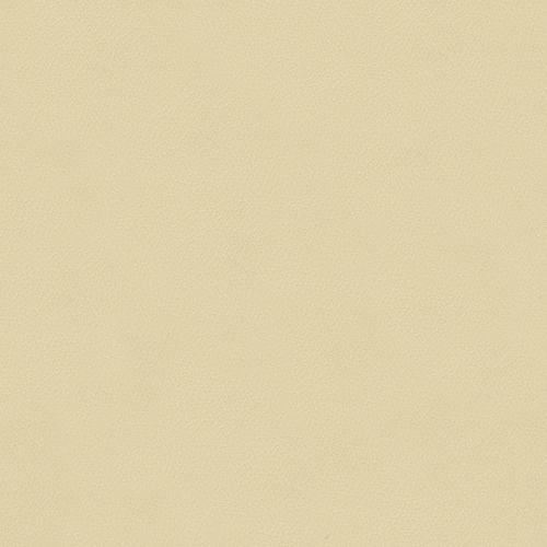 Spirit 385 Parchment Contract Automotive and Marine Upholstery Fabric