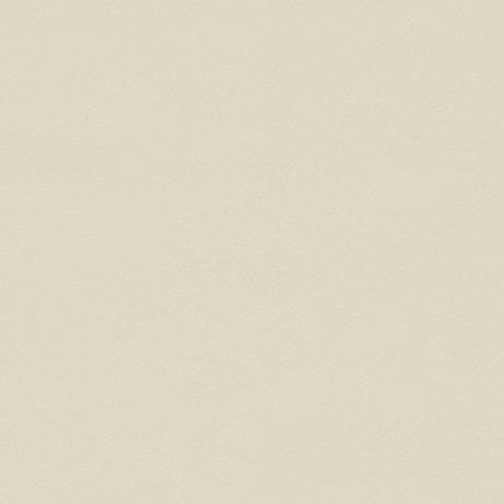 Spirit 394 Adobe White Contract Automotive and Marine Upholstery Fabric