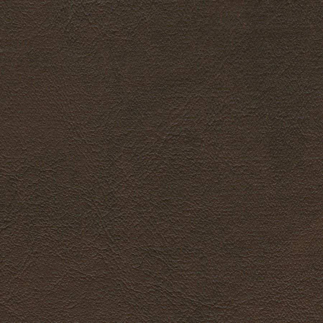 AbbeyShea Midship 8 Chocolate Marine Upholstery Fabric