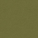 Sample of Silvertex 8820 Basil Upholstery Fabric