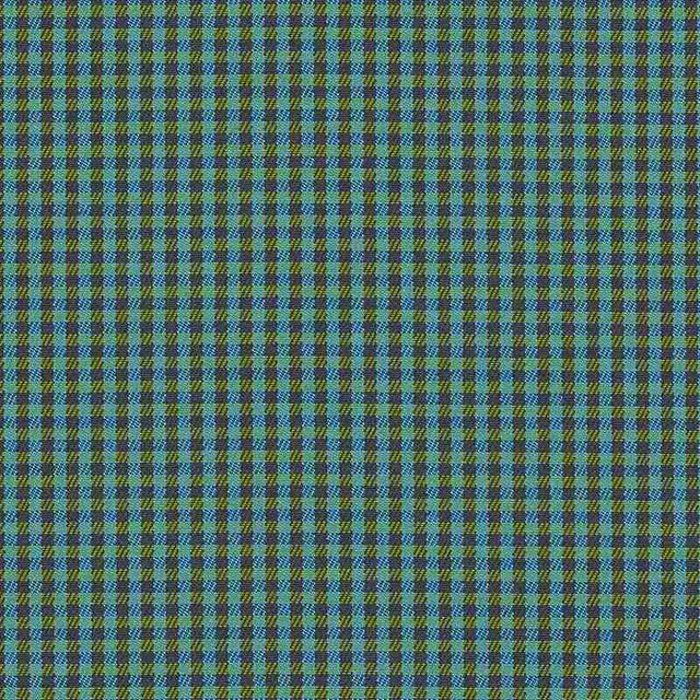 Sunbrella Checks Oliver Green CHE F059 140 European Collection Upholstery Fabric