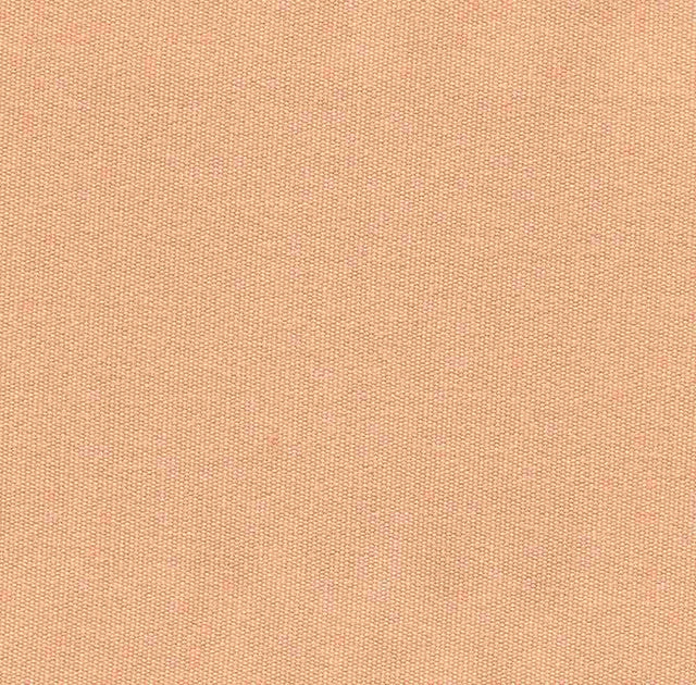 Sample of Tempotest Home Classic Complexion 26/15 Foundations Collection Upholstery Fabric
