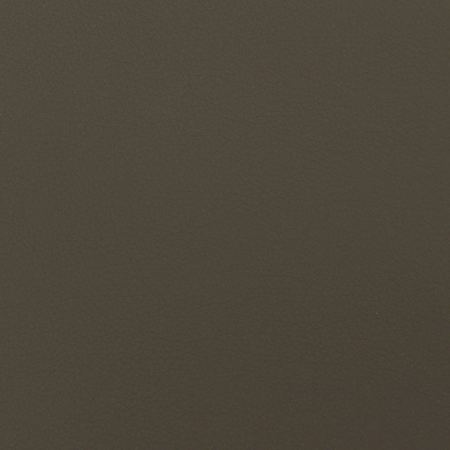 SiO Silicone Envision Nutmeg 20 Upholstery Fabric