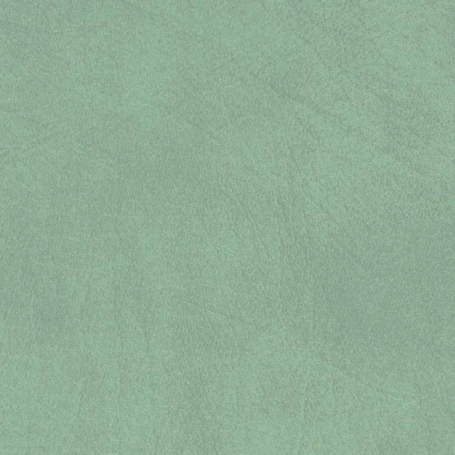 Softside Allegro 7063 Sage Green Automotive / Marine Upholstery Fabric