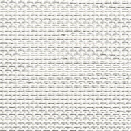 Serge Ferrari Batyline Duo Twist Mist 7301-5396 Sling Fabric