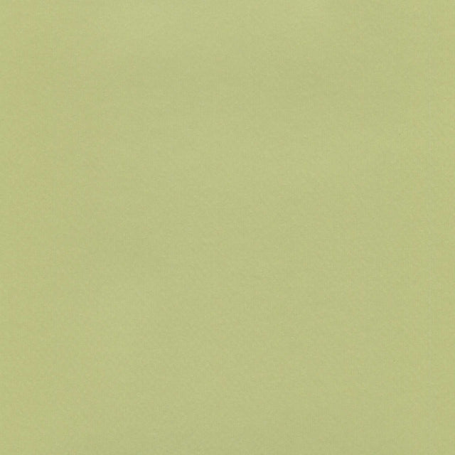 Enduratex Brushed Aluminum Lime Green 400 Upholstery Fabric