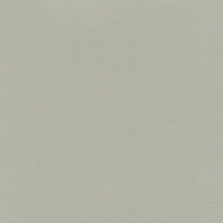 Enduratex Independence Alabaster 8603 Upholstery Fabric