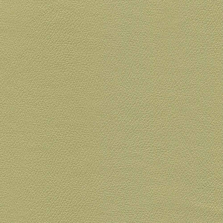 Enduratex Independence Baby Greens 8752 Upholstery Fabric