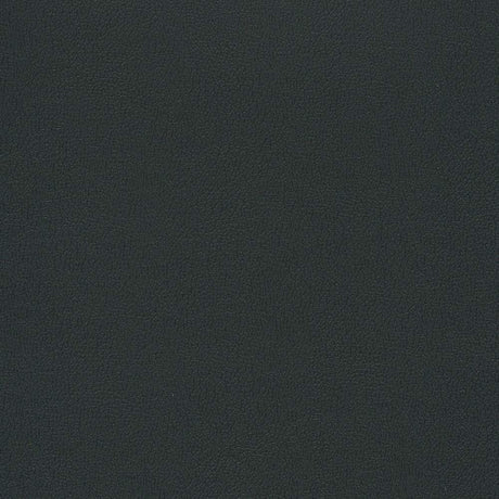 Enduratex Independence Black 8540 Upholstery Fabric