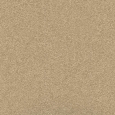 Enduratex Independence Coffee Cream 8414 Upholstery Fabric
