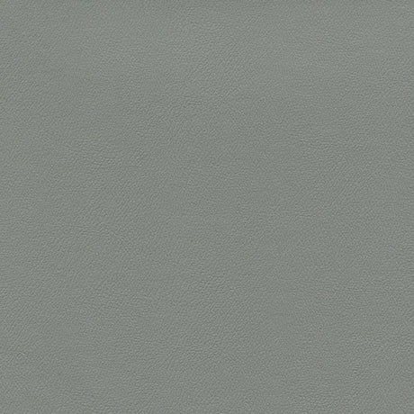 Enduratex Independence Dove 8567 Upholstery Fabric