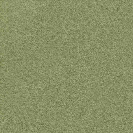 Enduratex Independence Echo Valley 8765 Upholstery Fabric