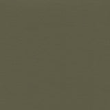 Enduratex Independence Eucalytpus 8638 Upholstery Fabric