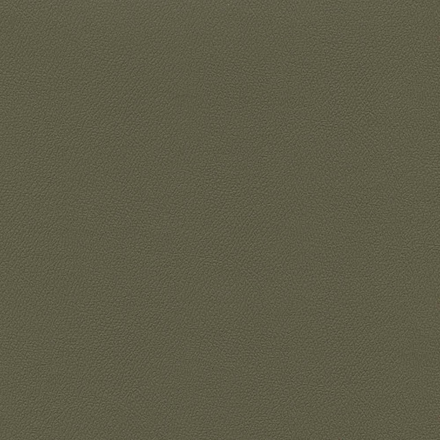 Enduratex Independence Eucalytpus 8638 Upholstery Fabric