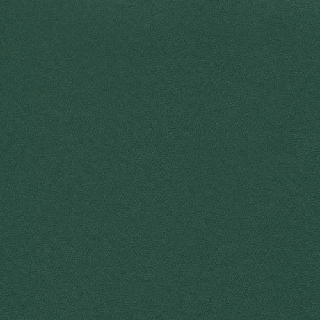 Enduratex Independence Forest 8571 Upholstery Fabric